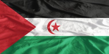 Sahra Arap Bayrağı Yakından Dalgalanıyor