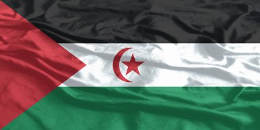 Sahra Arap Bayrağı Yakından Dalgalanıyor