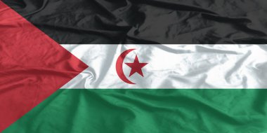 Sahra Arap Bayrağı Yakından Dalgalanıyor