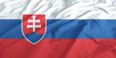 Slovakya Bayrak Rüzgarı Yakından Dalgalanıyor