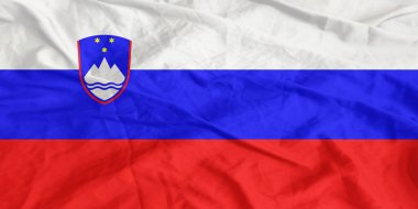 Slovakya Bayrak Rüzgarı Yakından Dalgalanıyor