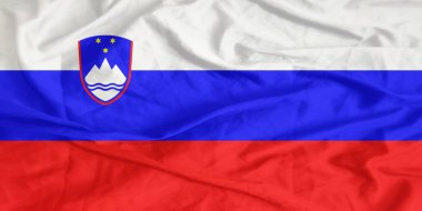 Slovakya Bayrak Rüzgarı Yakından Dalgalanıyor