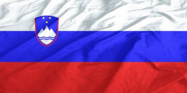 Slovakya Bayrak Rüzgarı Yakından Dalgalanıyor