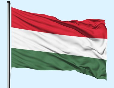 Macaristan Bayrağı Polonyayla Dalgalanıyor