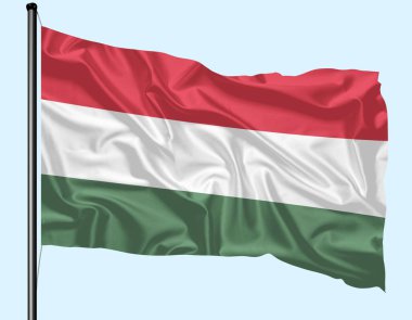 Macaristan Bayrağı Polonyayla Dalgalanıyor