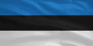 Estonya Bayrak Dalgası