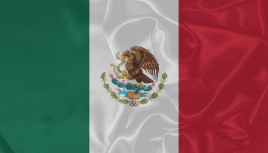 Meksika Bayrak Dalgası