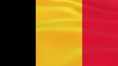 Belçika Bayrak Dalgalanması