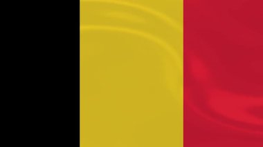 Belçika Bayrak Dalgalanması