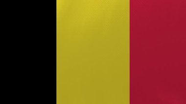 Belçika Bayrak Dalgalanması