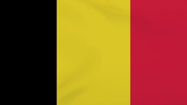 Belçika Bayrak Dalgalanması