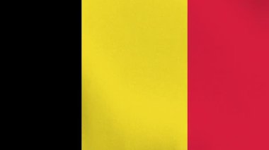 Belçika Bayrak Dalgalanması