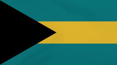 Bahamalar Bayrak Dalgalanması