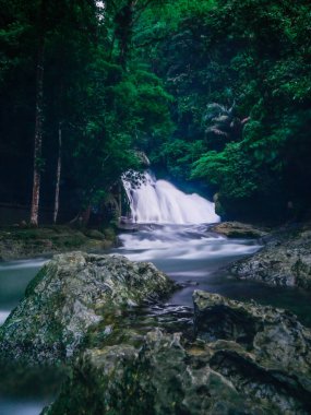 Su hem insanlar hem de doğa için krikömür elementidir. Sürekli akışında, su toprağa besin taşır, su yaşamına yaşam alanı sağlar ve ekosistemlerin dengesini sağlar.