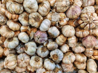 Sarımsak Ampulleri Yukardan Geldi