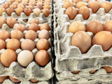 Bu fotoğraf bir yumurta kutusuna düzgünce yerleştirilmiş birkaç yumurtayı gösteriyor, bu genel paketlemenin basitliğini ve pratiğini vurguluyor.