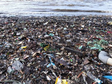17 Ağustos 2024 'te Balikpapan-Doğu Borneo sahiline çeşitli çöpler döktü. Çevre kirliliği