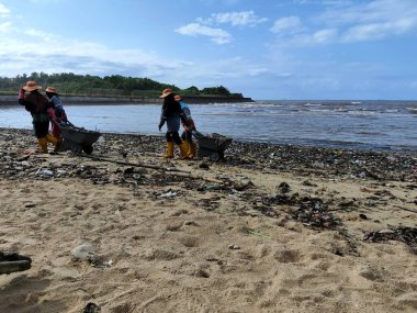 Balikpapan-East Borneo August 17th 2024, The janitors are cleaning the beach which has a lot of trash clipart