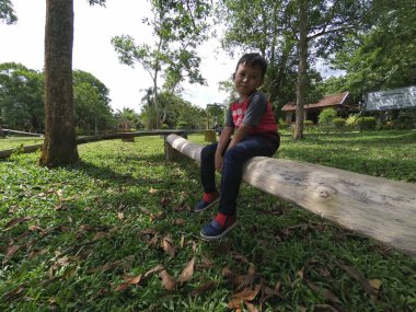 Asyalı küçük çocuk ağaç gövdesinde oturuyor.