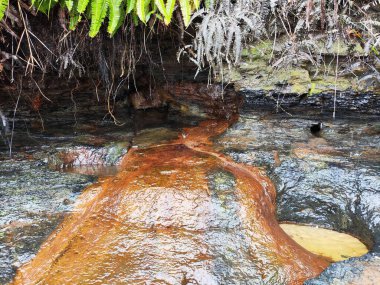 fresh waterdrop marches. Dehydration and stagnation in natural waters, stalled (dead-water), iron oxide and bog iron ore clipart