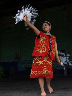 Balikpapan-east Kalimantan 2024 November 03, A Portrait of a borneo dayak tribe dancer, Traditional Dayak dance typical of East Kalimantan at Folk Arts Festival clipart