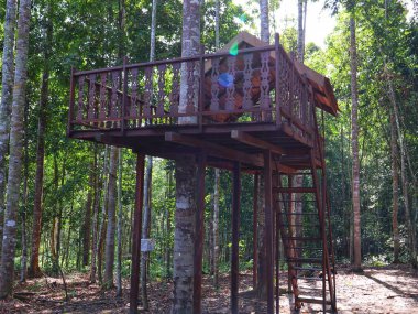 Meranti Ormanı Balikpapan, Meranti Turizm ve Balikpapan 'ın ortasında ağaç evi.