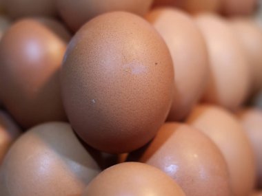 Pazarda satılık taze yumurta yığını. Çeşitli boyut ve fiyatlarla geleneksel pazarda taze tavuk yumurtası..