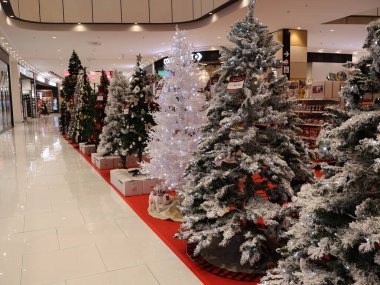 Cikarang-jawa barat 20 Kasım 2024 Mağazada suni Noel ağacı seçimi, dükkanda çeşitli Noel süslemeleri sergileniyor