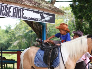 Balikpapan December 24,2024 Young girl and a boy on a horse listening to instructions of her horseback riding instructor clipart