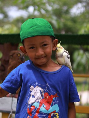 24 Aralık 2024 'te Balikpapan çocukları Balikpapan' da Buffy Fish Baykuş 'la fotoğraf çekiyorlar.