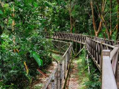 Balikpapan-Endonezya 24 Aralık 2024 Çevre Eğitimi Turizm Alanı (KWPLH) veya Bal Ayısı Merkezi, Balikpapan şehrinde bir çevre eğitim tesisidir.