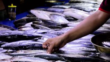 Balikpapan Ocak 04.2025 balık tüccarlarının balık pazarındaki faaliyetleri, balık tüccarları müşterilere hizmet veriyor