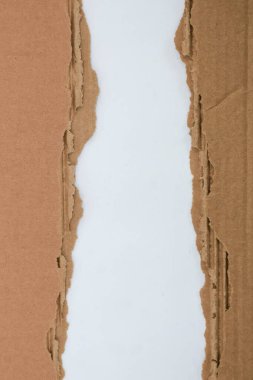 Kahverengi desenli kağıt beyaz arka planda yırtılmış. Arkaplan olarak kullanılan karton çarşaftan sökülmüş. Geri dönüşüm ve çevre dostu malzemeler için bir konsept. Boş siyah metin alanı kopyala.