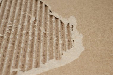 Yırtık kenarlı bir karton parçası. Yırtılmış karton parçası.