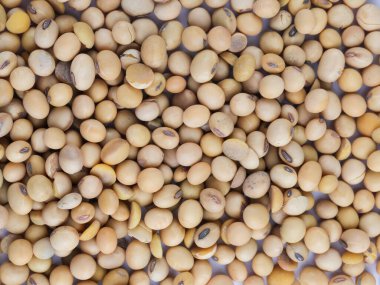 Reklamınız için soya fasulyesi arkaplan görünümünü kapatın