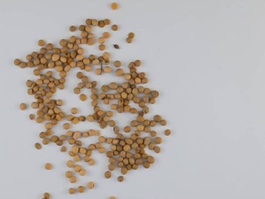 Düz fasulye tohumları beyaz arka planda izole edilir..