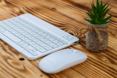 Tahta masada beyaz bilgisayar klavye faresi ve kaktüs. Kırpma Yolu. Seçici odak