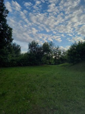 Yeşil Çimen ve Mavi Gökyüzü