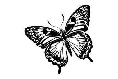 Kelebek beyaz arkaplanda izole