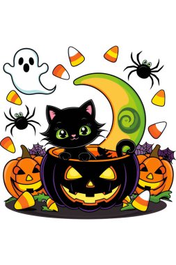 Cadılar bayramı tişörtü balkabaklı siyah kedi