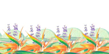 Strelitzia Reginae 'nin suluboya çizimi ve yapraklar, lavanta, ıhlamur, tropikal çiçek kompozisyonu beyaz arka planda.