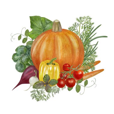 Sonbahar sebzeleri beyaza izole edilmiş suluboya bileşimi hasat ederler. Çiftlik bitkileri rustik çiftlik tasarımları. Portakal kabağı, çan.