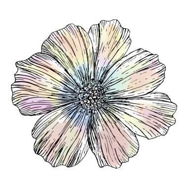 Kartlar, duvar sanatı, davetiyeler, moda, koleksiyon defteri, taslak tarzı için gökkuşağı renklerinde yumuşak suluboya pastel desenli bir kozmosun el çizimi çizimi..