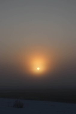 Saskatchewan kırsalında 29 Kasım 2019 'da St. Andrews, Saskatchewan' da Kış Güneşi Yoğun Sis Altında Yükseliyor.