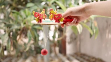 Geleneksel bir Meksika tahta oyuncağıyla oynayan bir kız.