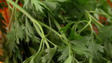 Makro, plastik süzgeçte dönen maydanozun videosunu kapat