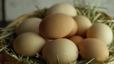 Kahverengi organik yumurtaların ultra yakın çekim videosu