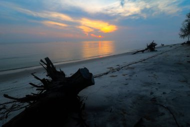Güneşin doğuşunun tadını çıkarmak için sahilde rahatlatıcı bir yer..