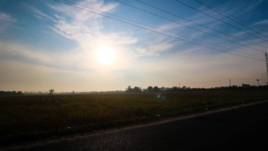 Serdang 'da ikonik pirinç tarlasında gün doğumu.