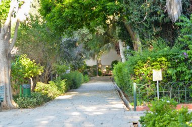 Yazın erken saatlerinde Yeşil Park bomboş